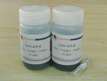 Bradford蛋白浓度测定试剂盒